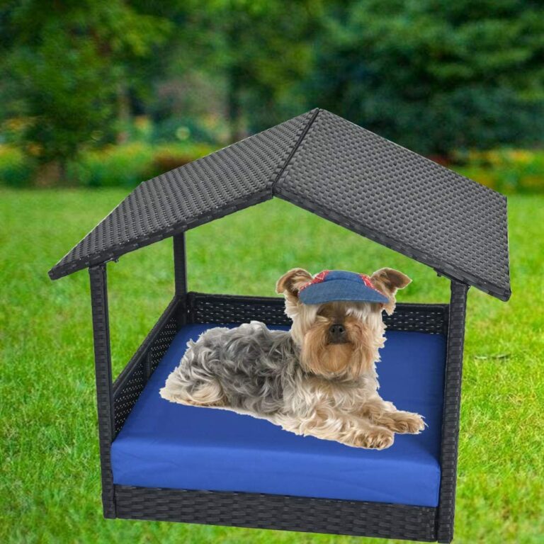 Outdoor Pet Bed - Why & What To Look For